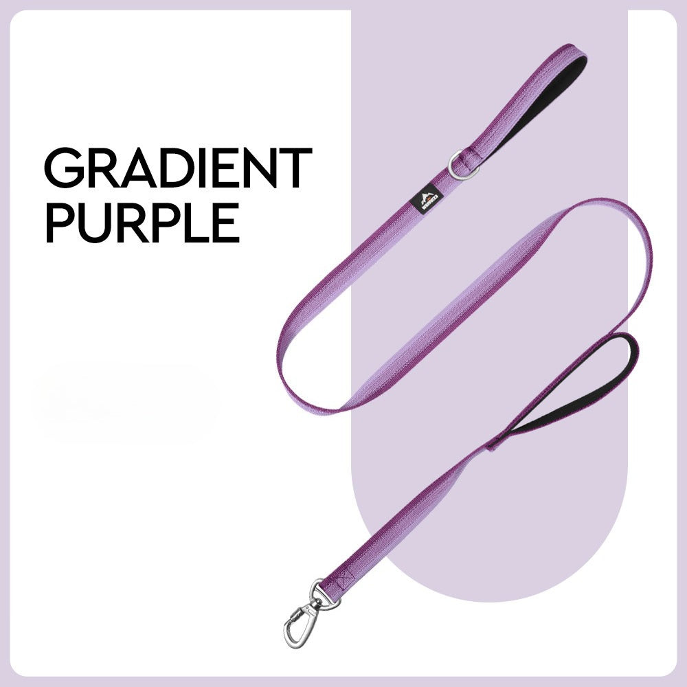 Gradient Dual-Handle Dog Leash