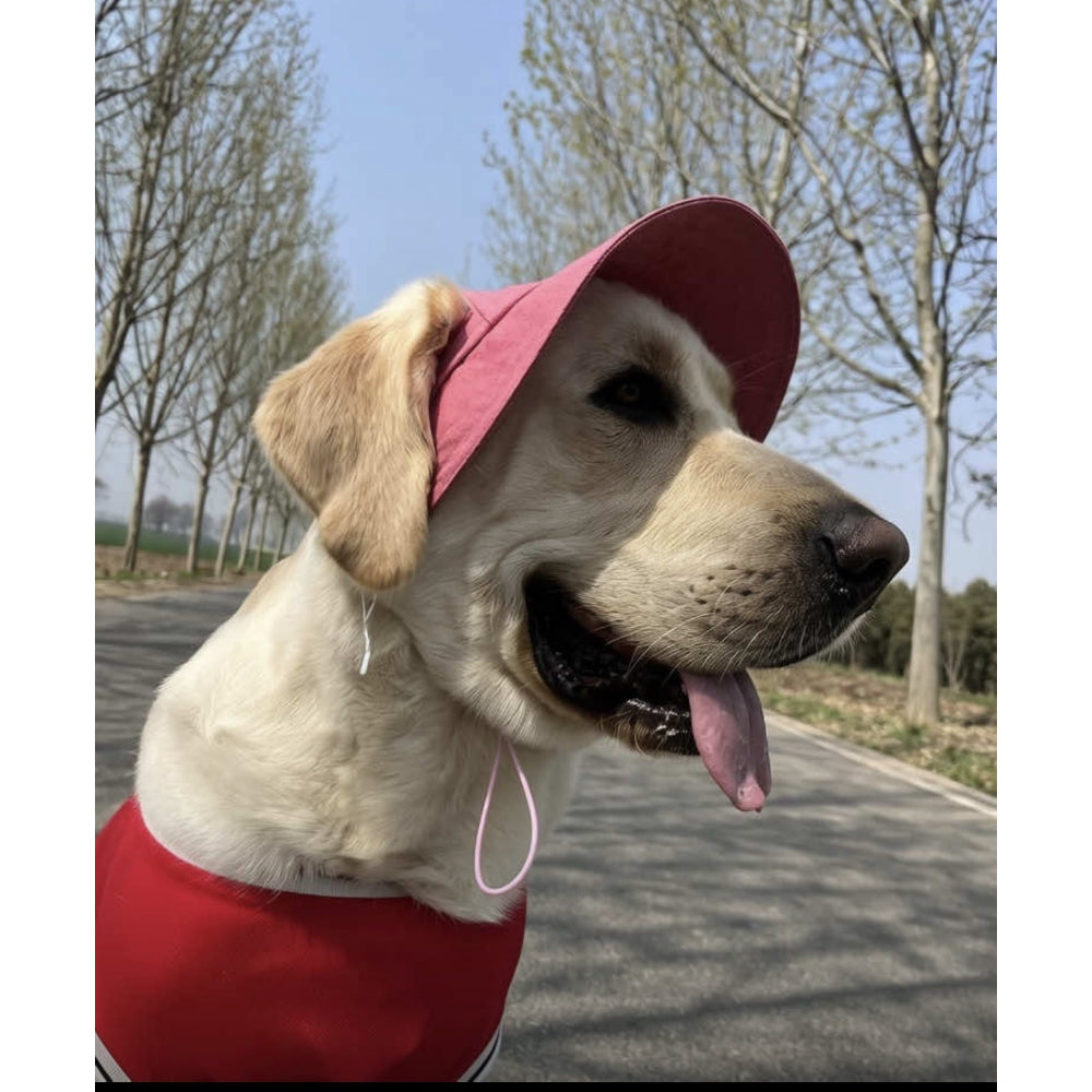 Breathable Sun Protection Dog Hat