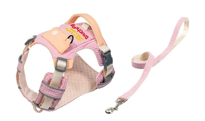 Plaid Harness & Leash Set