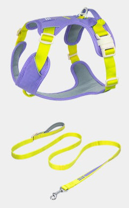 Pop Art Harness & Leash Set