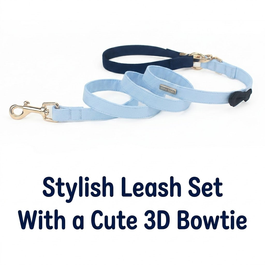 Officer Uniform Harness & Leash Set – Blue