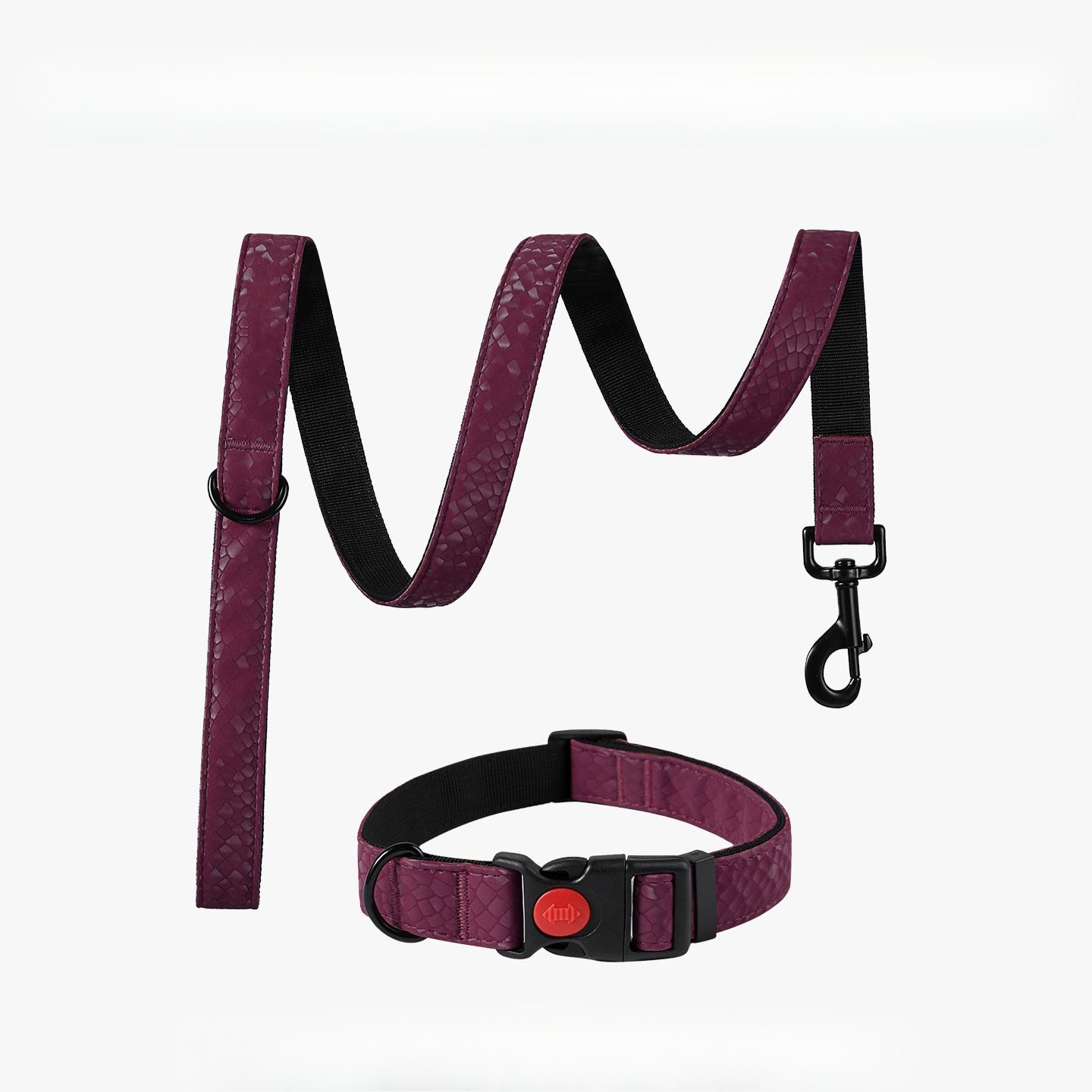 Snake Pattern Collar & Leash Set