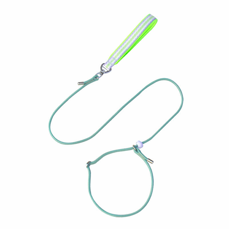 Adjustable Slip Lead Dog Leash