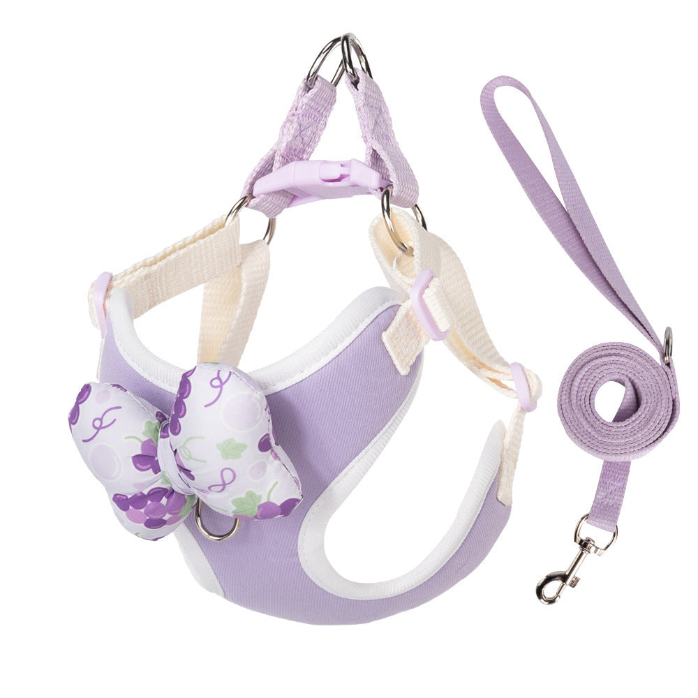 Fruit Pattern Harness & Leash Set