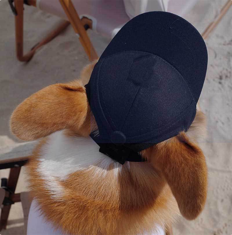 Korean Style Baseball Cap for Dogs – Black