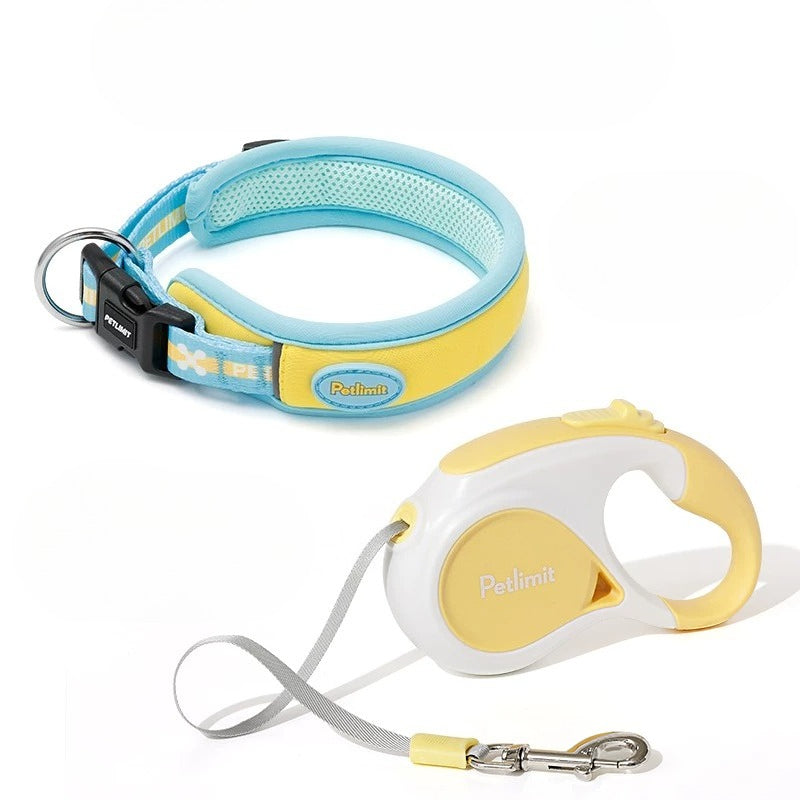 Soft Mesh Collar & Leash Set