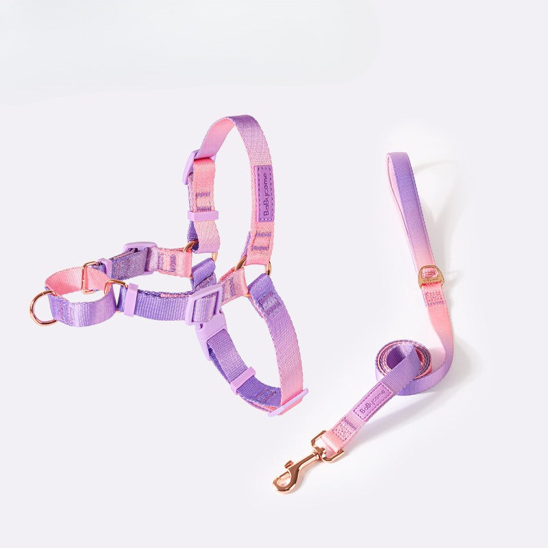 Gradient Harness & Leash Set