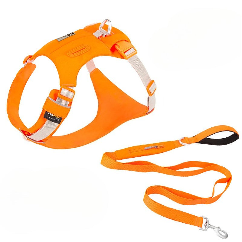 Hidden Pocket Harness & Leash Set