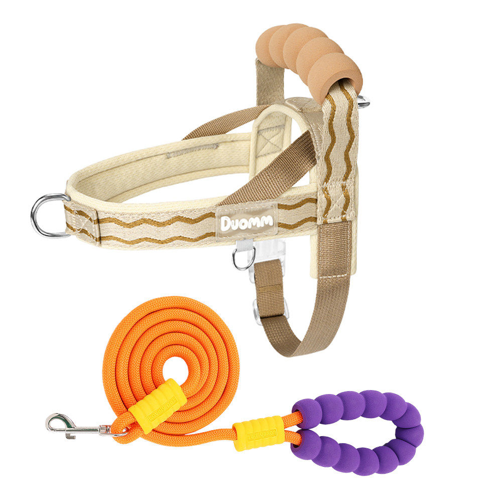 Foam Handle Harness & Leash Set