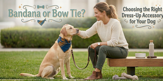 Dog wearing a stylish neck accessory while standing beside an owner outdoors