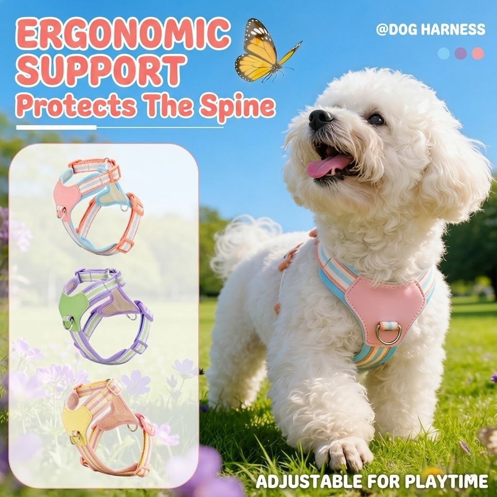 Breathable Y-Shape Harness & Leash Set