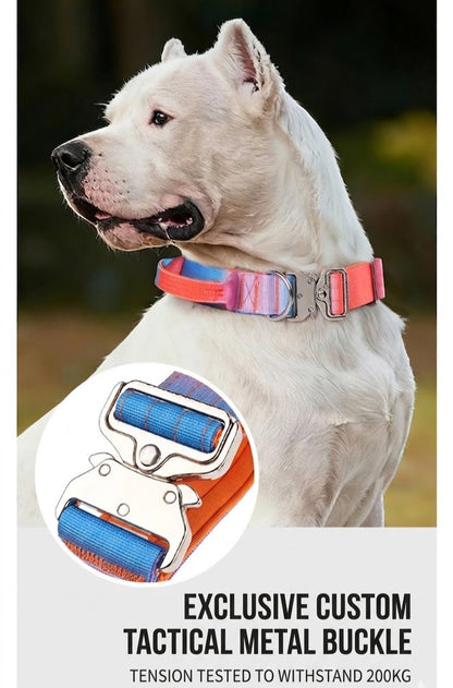 Gradient Tactical Collar & Leash Set
