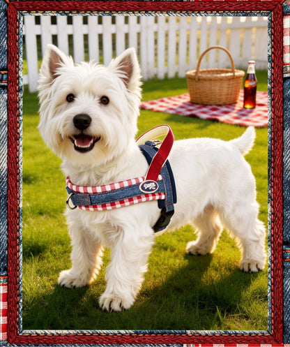 Denim Plaid Harness & Leash Set
