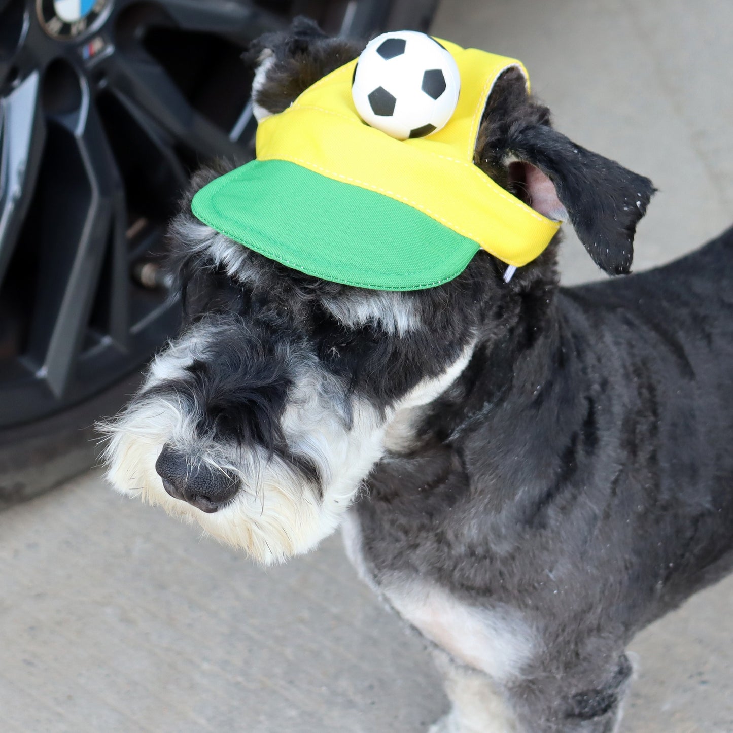 Soccer Fan Dog Hat