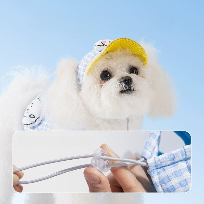 Gingham Harness, Leash & Hat Set