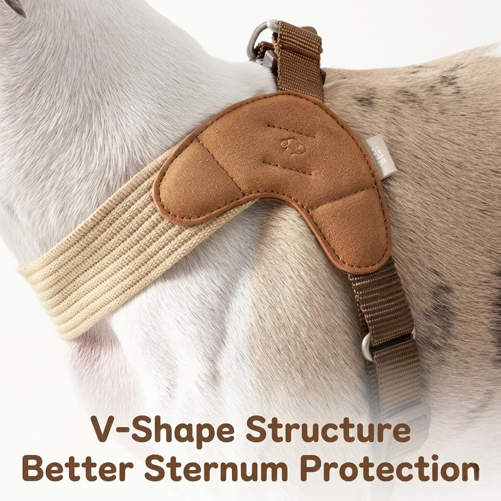Quick-Wear V-Shape Harness & Leash Set – Brown