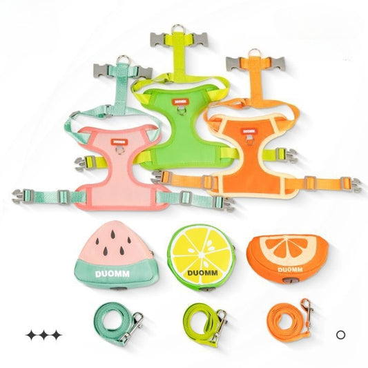 Fruit Pattern Harness, Leash & Backpack Set