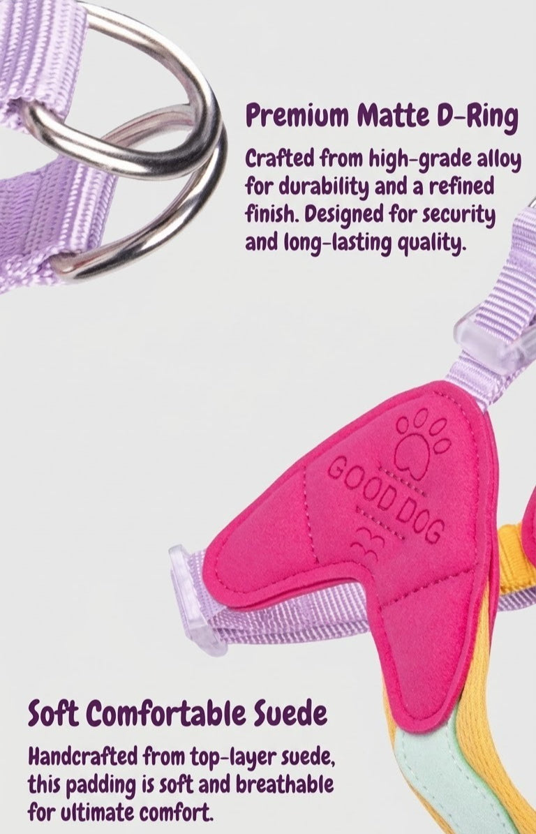 Breathable Y-Shape Dog Harness