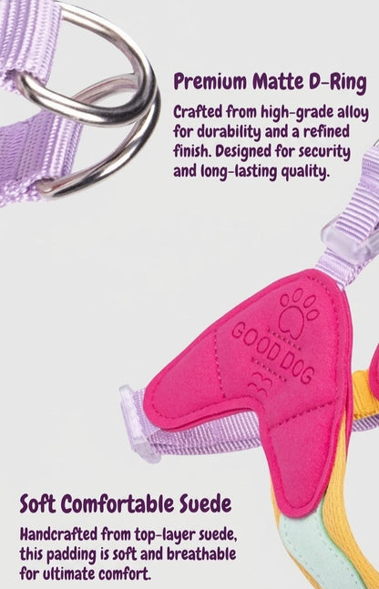 Breathable Y-Shape Dog Harness