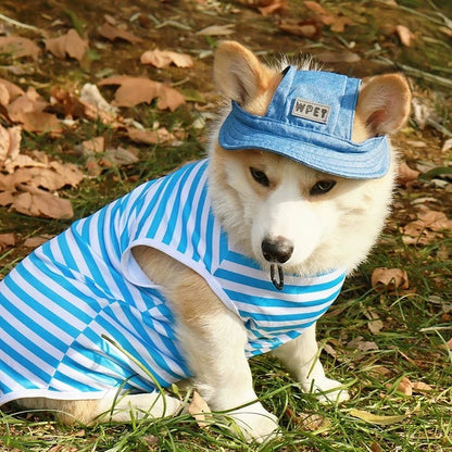 Denim Style Dog Hat