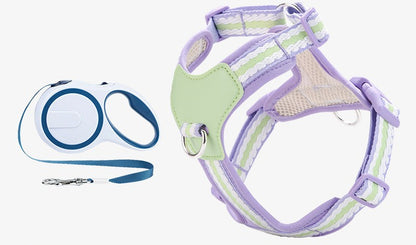 Breathable Y-Shape Harness & Leash Set