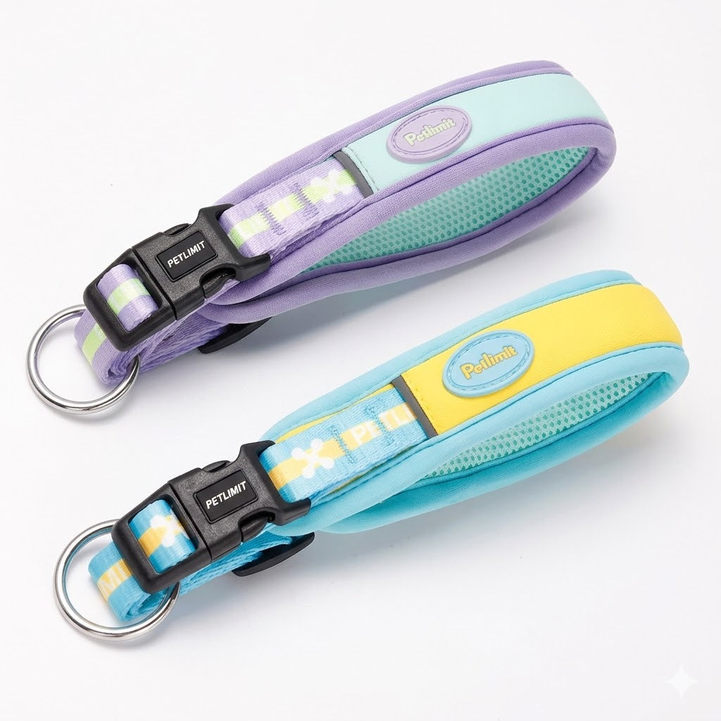 Soft Mesh Collar & Leash Set