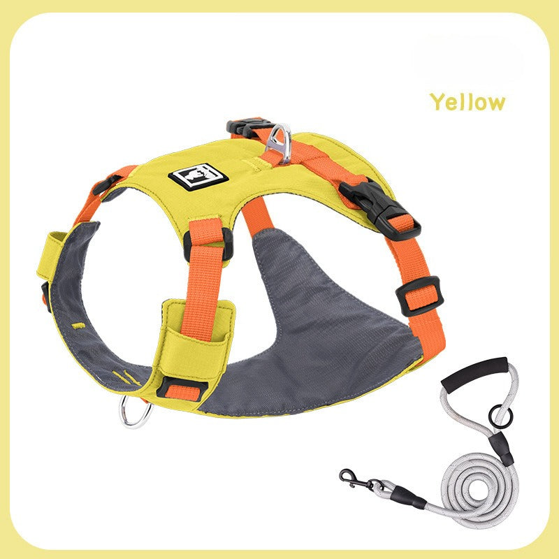 Lightweight Harness & Leash Set