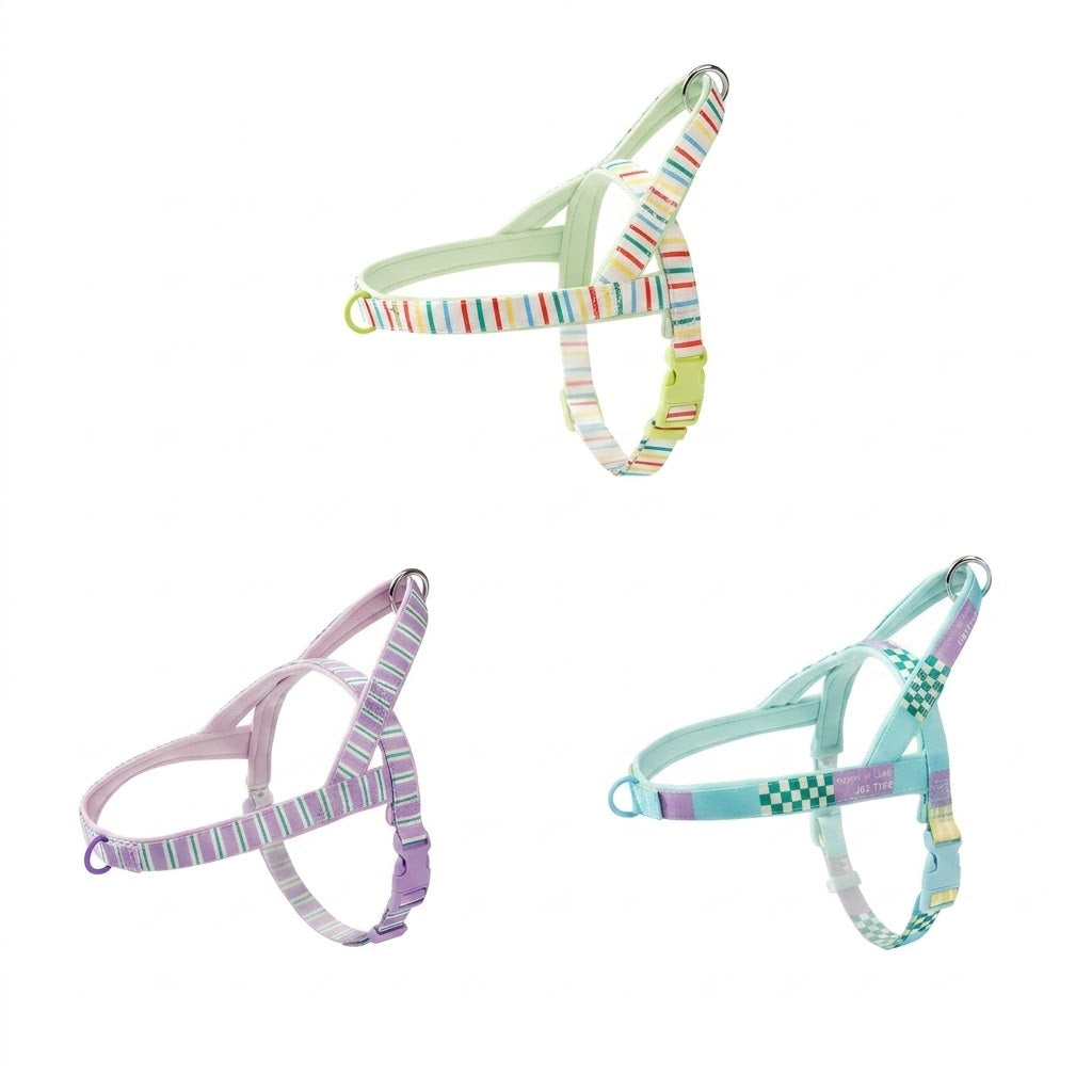 Patterned Harness & Leash Set