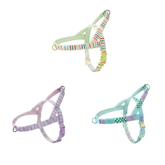 Patterned Harness & Leash Set