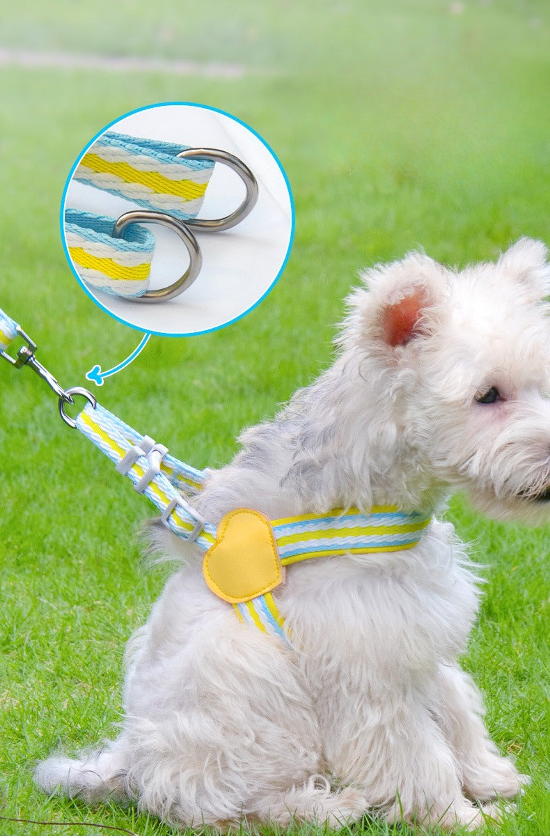 Striped Neoprene Harness & Leash Set