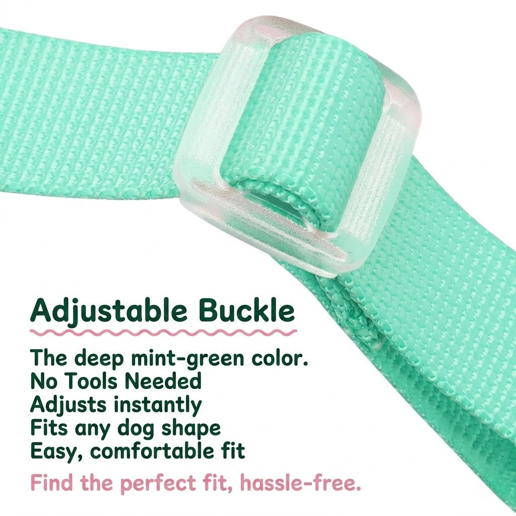 Foam Handle Harness & Leash Set
