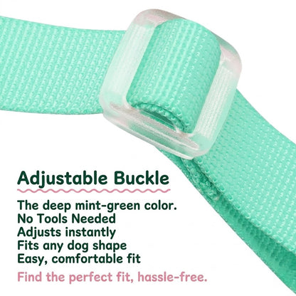 Foam Handle Harness & Leash Set