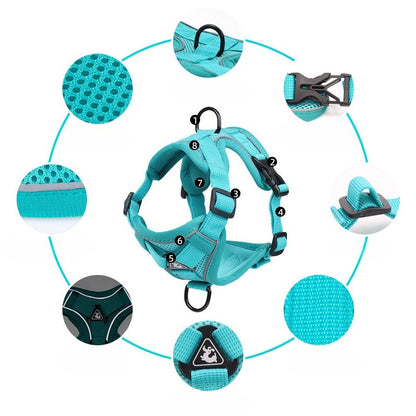 Reflective Mesh Harness & Leash Set