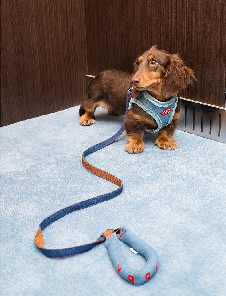Denim Harness & Leash Set – Blue