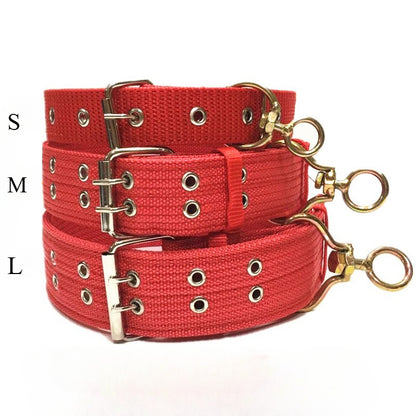 Heavy Duty Nylon Dog Collar for Dogs – Army Green