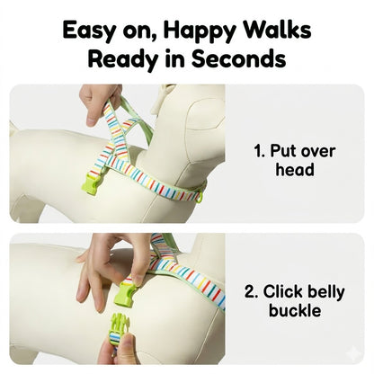 Patterned Harness & Leash Set