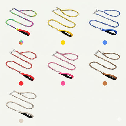 Colorful Braided P-Chain Dog Leash