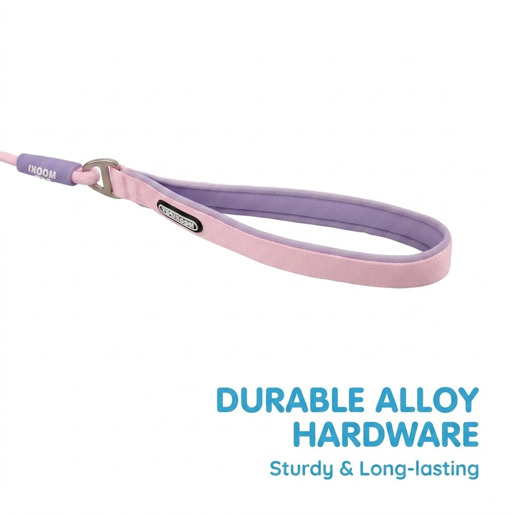 Geometric Color-Block Dog Leash
