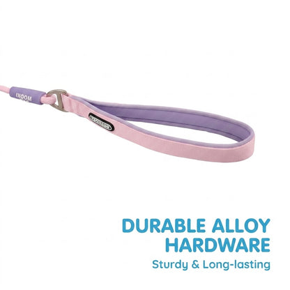 Geometric Color-Block Dog Leash