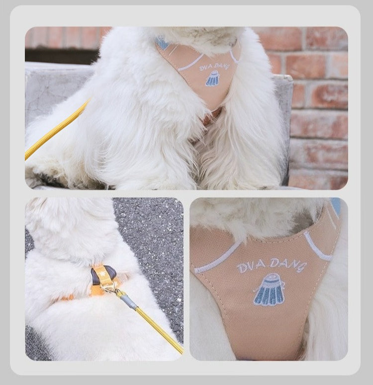 Sports Print Harness & Leash Set