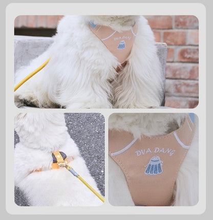 Sports Print Harness & Leash Set