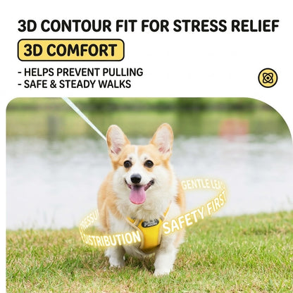 Reflective Mesh Harness & Leash Set