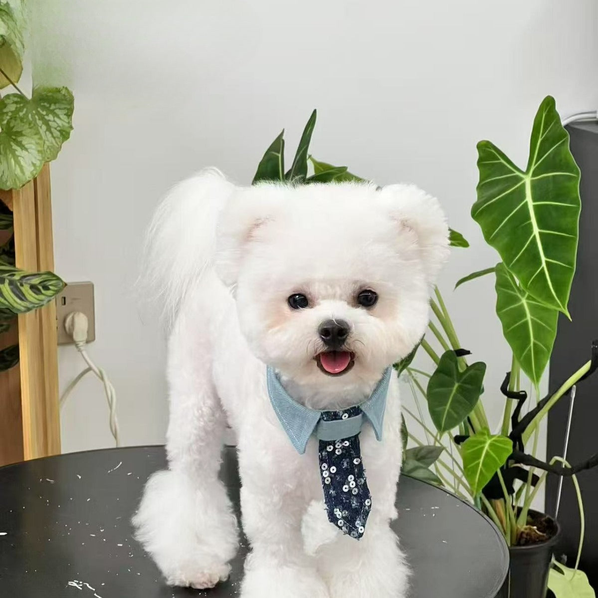 Sequin Denim Dog Bow Tie for Dogs – Multi
