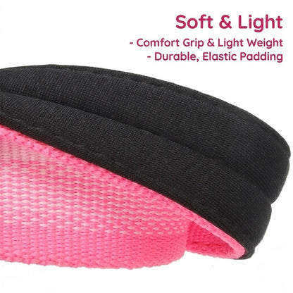 Gradient Dual-Handle Dog Leash