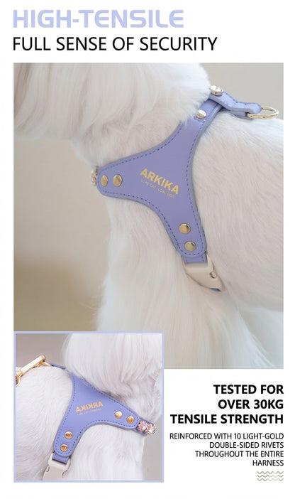 Sparkle Rhinestone Harness & Leash Set
