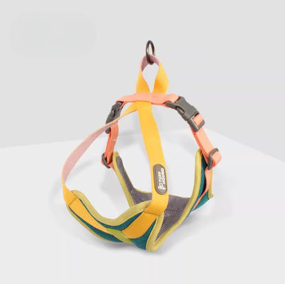 Cooling Mesh Harness & Leash Set