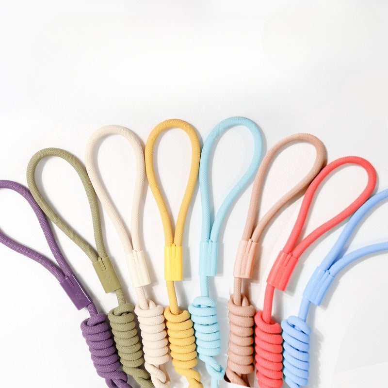 Braided Slip Lead Dog Leash for Dogs – Multi