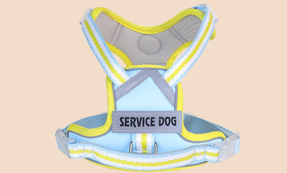 Breathable Mesh Harness & Leash Set