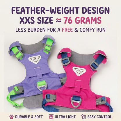 Lightweight Breathable Matching Dog Set