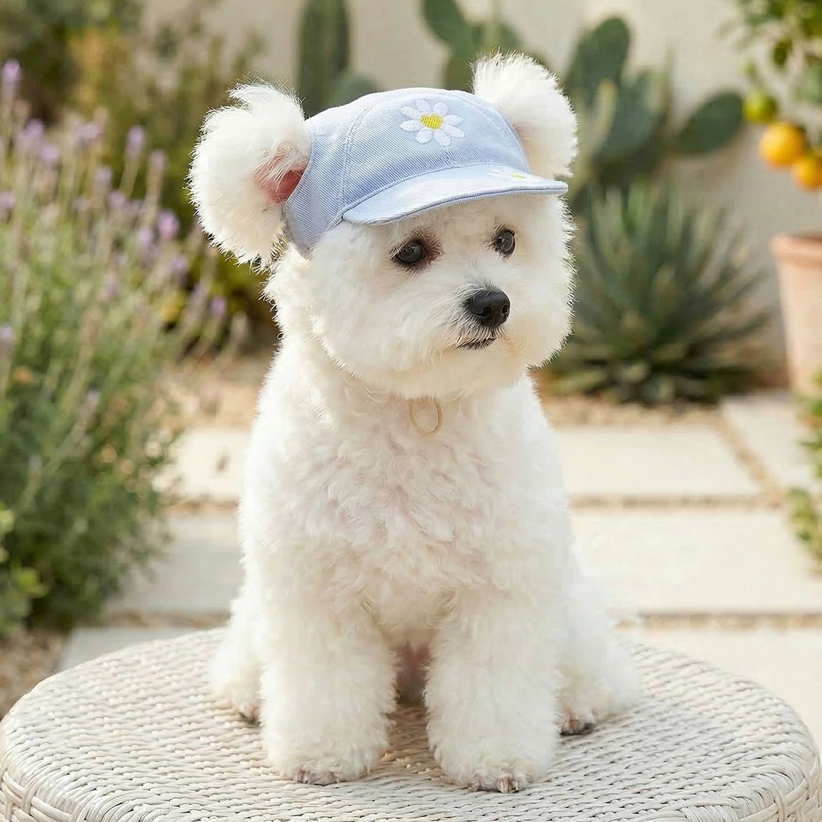 Adjustable Outdoor Dog Hat